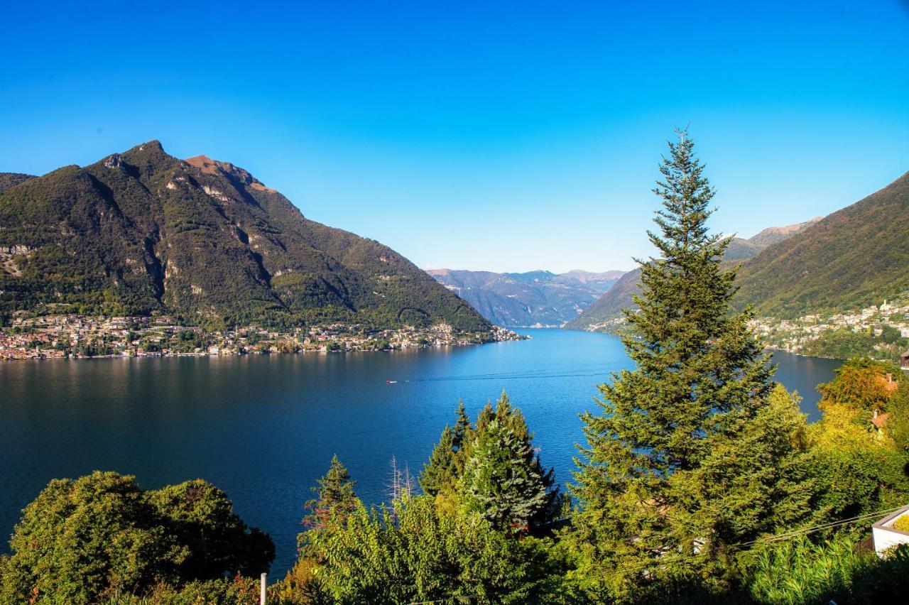 Appartamento Blue - By Myhomeincomo Faggeto Lario